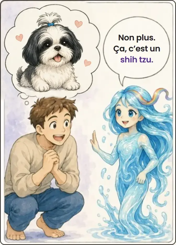 Le jeune homme pense à Loulou. Nami répond : Non plus. Ça, c’est un shih tzu.